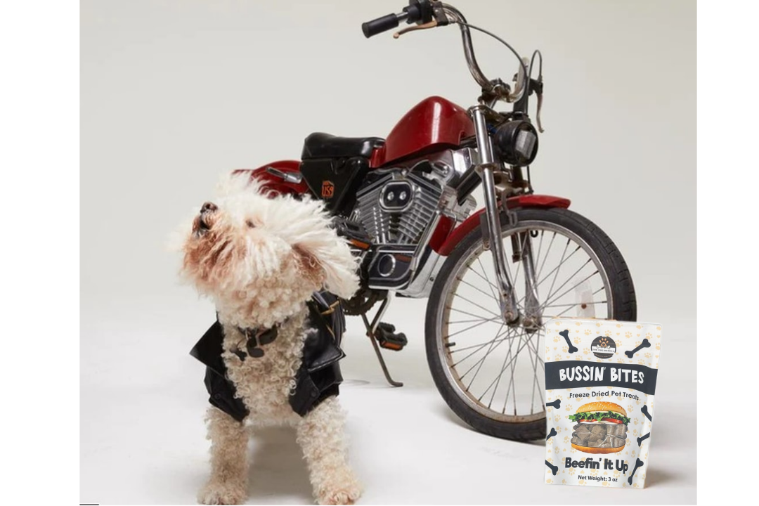 Single Ingredient, High Value Freeze-Dried Training Treats for Dogs & Cats - Beef Liver